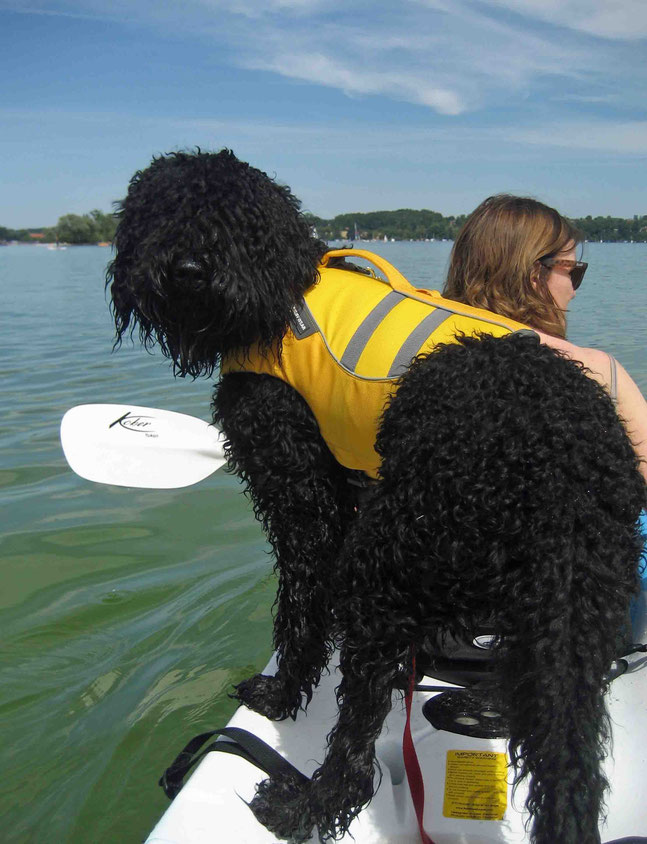 Alles schön mit Schwimmweste, damit ich auch wieder aus dem Wasser gefischt werden kann, wenn ich denn mal reingehüft bin. 