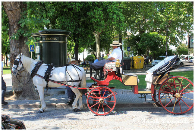 Andalousie camping-car fourgon photo Franck Dassonville