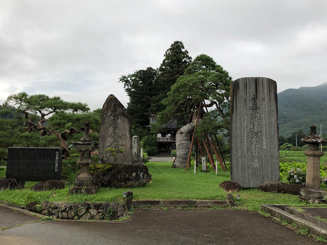 遠照寺の門構え「巨木の夫婦松、石碑」