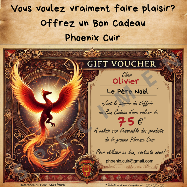 Armure cuir fabrication francaise artisanale Special GN