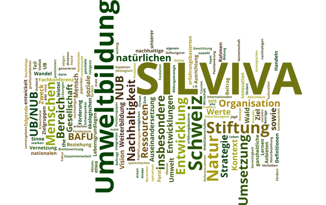 Sinn und Bedarf Stiftung SILVIVA WordCloud