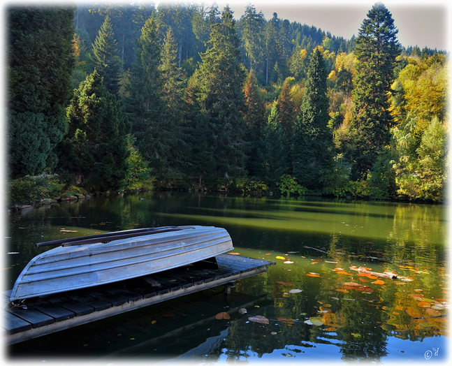 Stille Augenblicke am Bergsee