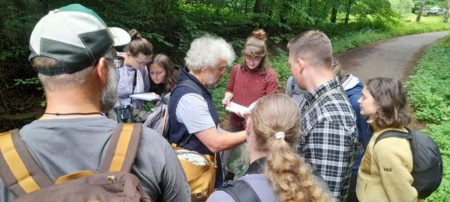 Gemeinsame Suche und Bestimmung mit Referent Rainer Borcherding (Foto © Carina Süß)