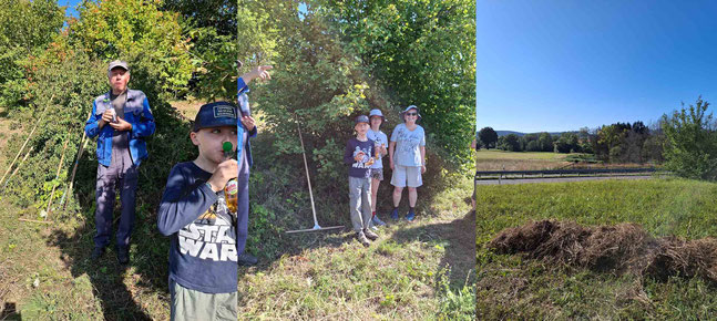 Hang Kreisstraße Gras auf Reihen setzen        Foto:K-H Kuhn