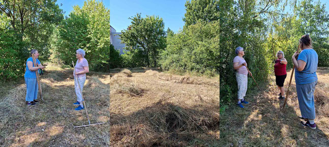 Banhof Mähringen Gras auf Reihen setzen  Foto: K-H Kuhn