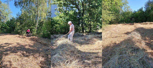 Bahnhof Gras auf Reihen setzen  Foto: K-H Kuhn