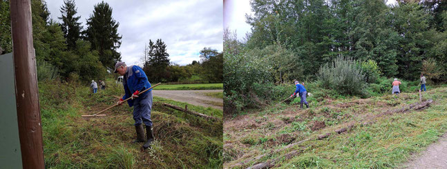 Gomaringer Teich mähen   Fotos:K-H Kuhn