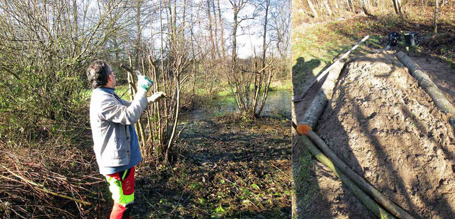 Gehölzpflege Gomaringer Teich  Foto:K-H Kuhn