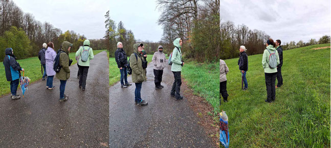 Vogelführung Ehrenbachtal    Foto:K-H Kuhn