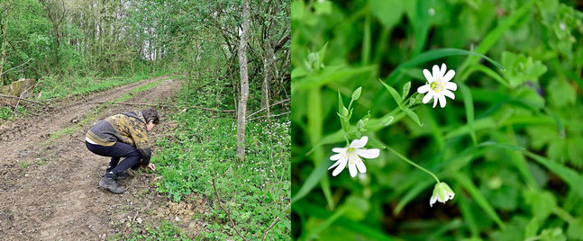 Vogelführung Ehrenbach  Foto: K-H Kuhn