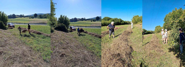Hang Kreisstraße Gras auf Reihen setzen         Foto:K-H Kuhn
