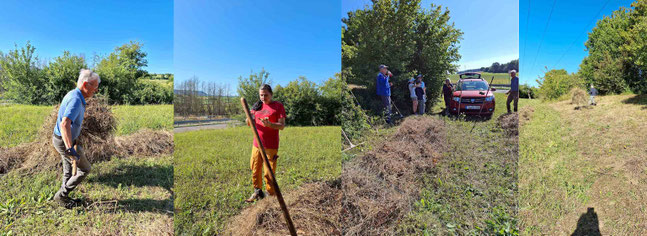 Hang Kreisstraße Gras auf Reihen setzen  Foto:K-H Kuhn