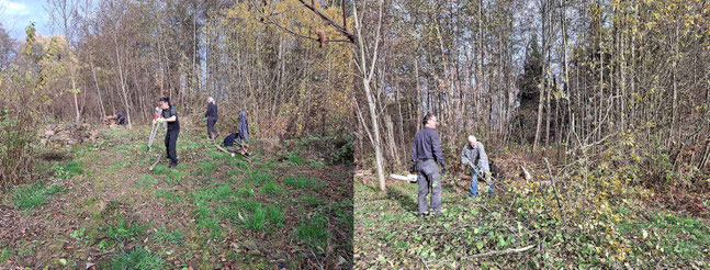 Gehölzpflege am Gomaringer Teich    Foto:K-H Kuhn