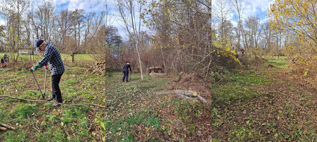 Gehölzpflege am Gomaringer Teich Foto:K-H Kuhn