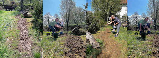 Blühstreifen  Fotos: Jai Xuang
