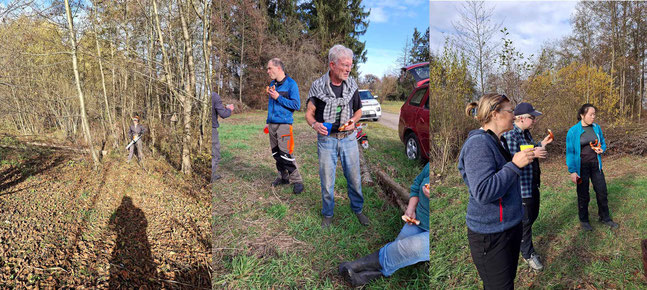 Gehölzpflege am Gomaringer Teich Foto:K-H Kuhn