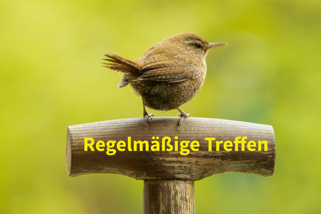 Foto: NABU/Winfried Rusch
