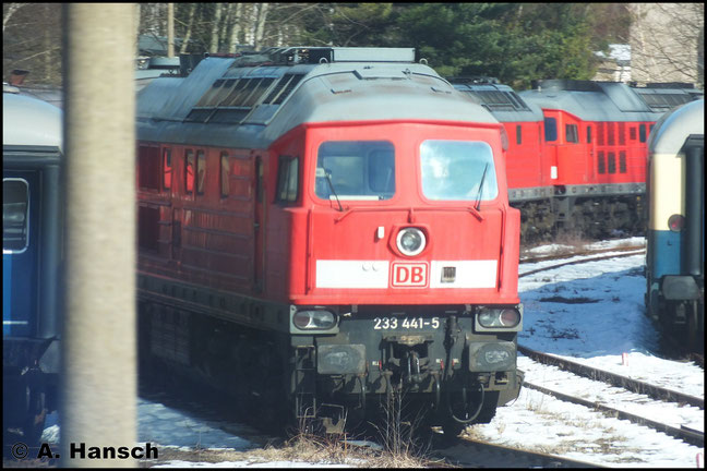 Eine von inzwischen elf im AW Chemnitz abgestellten "Ludmillas" ist 233 441-5, die am 6. März 2013 aus dem RE nach Dresden fotografiert werden konnte