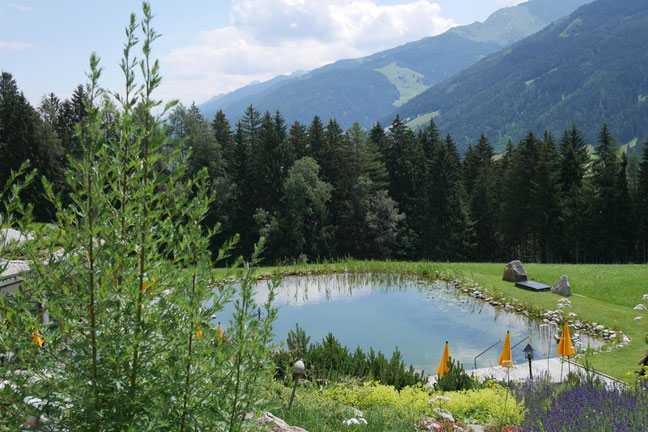 Pure & Beauty Weekend von Pure Encapsulations 2018 in Mittersill, Bloggerwochenende