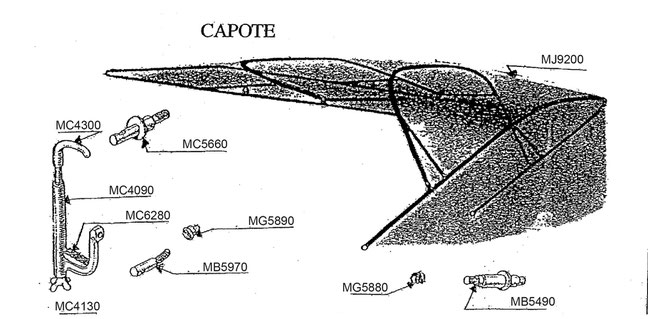 Capote