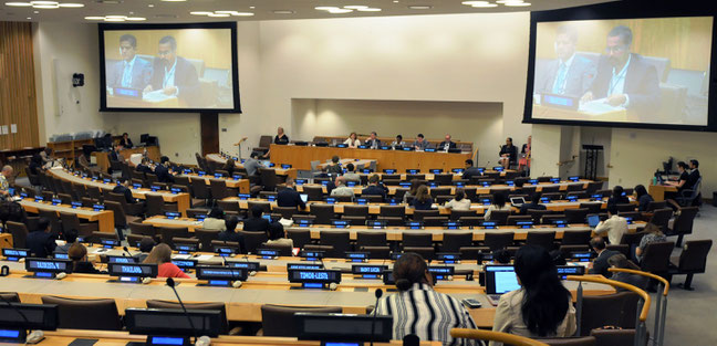 19th ICP plenary. Photo Credit: UN Division for Ocean Affairs and the Law of the Sea (UN-DOALOS)