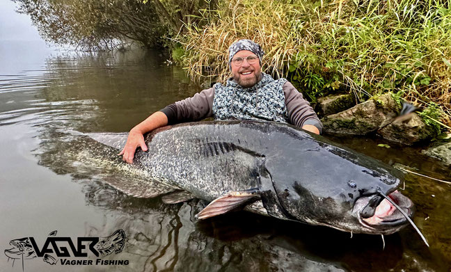 Vagner Fishing-Welsgigant aus dem Neckar. Tight Lines Peter Merkel