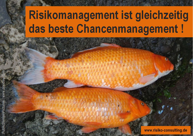 Risiko-Consulting - Im Mittelstand ist Risikomanagament auch Chancenmanagement