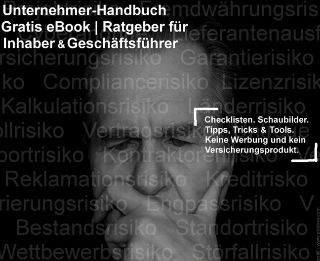 Risiko-Consulting: Gratis eBook: "Haftungsschutz für Inhaber und Geschäftsführer" - Unternehmer-Handbuch