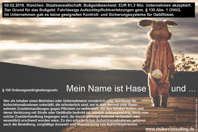 Bußgeld. Kein Internes Kontrollsystem. Risikomanagement.