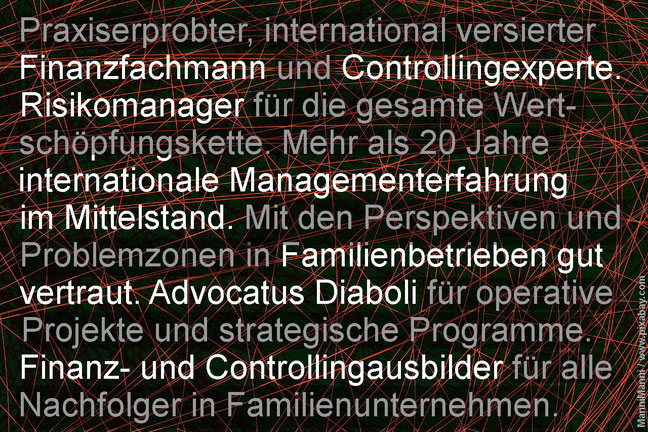 Risiko-Consulting: Vertrauliche Beratung für Familienunternehmen