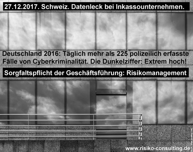 Hackerangriff - Datendiebstahl - Risikomanagement