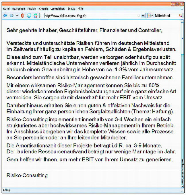 Risiko-Consulting: Managerbrief Mittelstand - Risiko-Management und Managerhaftung. Wichtig für alle Inhaber, Geschäftsführer & Controller im Mittelstand.