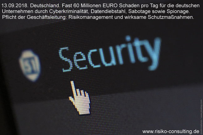 Cyberkriminalität und Dtendiebstahl. Der wirksamste Schutz: Effektives Risikomanagement.