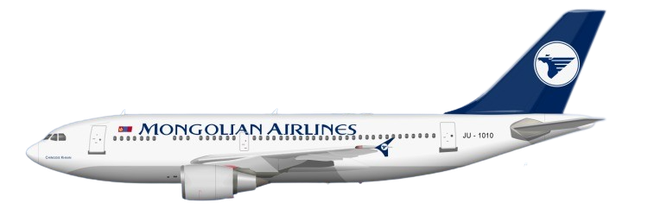 Aircraft Type: Airbus A310-300