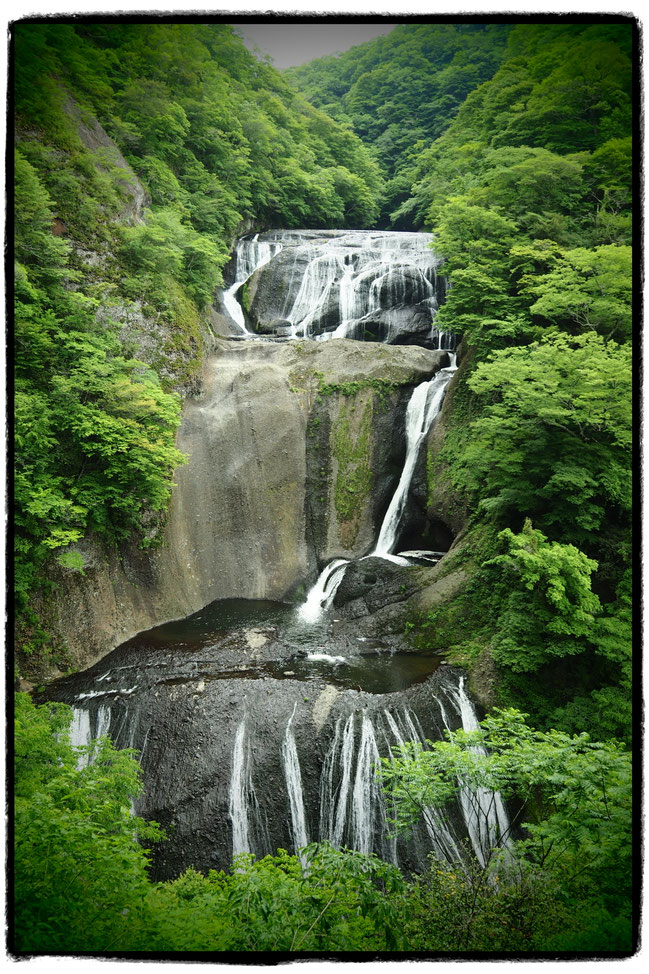 ▲岩壁を4段に分かれて水が流れ落ちることから「四度の滝」とも呼ばれる袋田の滝