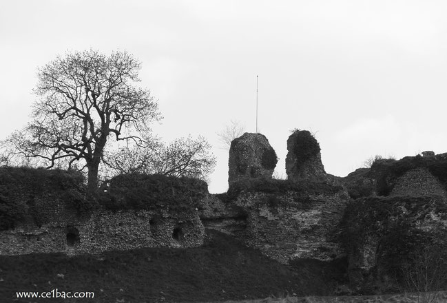 Le château d'Arques-la-Bataille