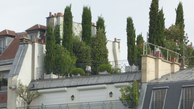 パリのアパートの屋上
