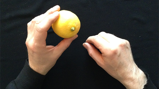 CITRUS: The Next Generation (C2 - Small) / シトラス（客サイン紙幣