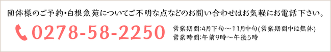 団体様のご予約・白根魚苑についてご不明な点などのお問い合わせはお気軽にお電話下さい。TEL 0278-58-2250 営業時間：4月下旬～11月中旬(営業期間中は無休)　営業時間：午前9時～午後5時