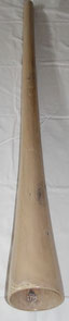 Didgeridoo White Oak