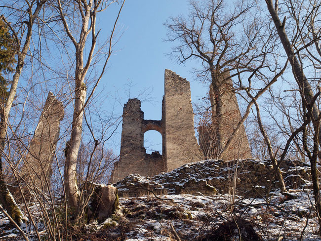 Blick auf Ruine Neckarburg / Rottweil