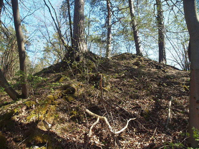 Burghügel zwischen vorderer und mittlerer Burg