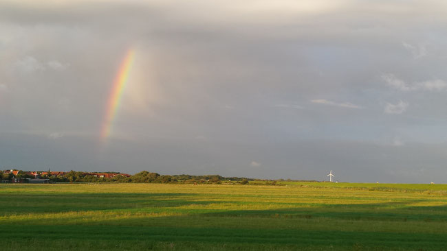 Werbebild für Ostfriesland-Wetter