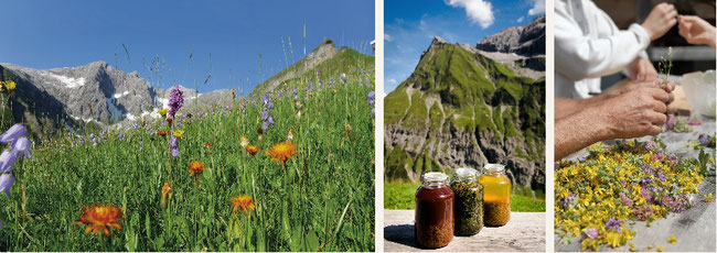 Tracht.heute - Oberhorn Produkte