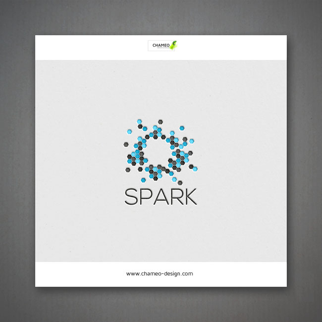 Logo and branding for an onlineshop of electrical lighters