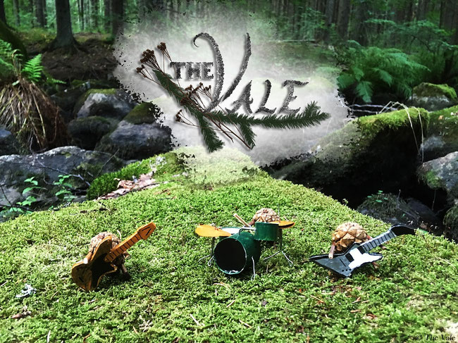 The Vale Releases Debut Music Video, "Terra Fulgur"