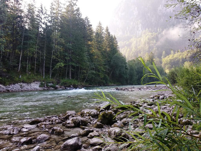 Die Welle "Helli Welli" am Campingplatz Wildalpen
