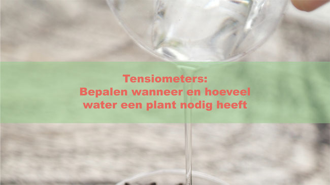 Tensiometers: Bepalen wanneer en hoeveel water een plant nodig heeft
