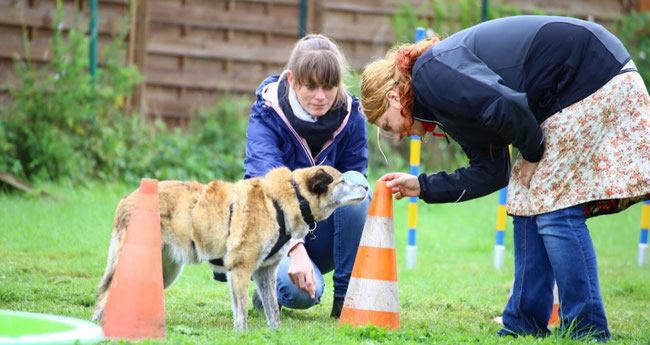 Auf dem Bild ist meine Freundin Sarah und ich mit ihrem dahmaligem Hund Mafred , Sarah ist in der Hocke, ich beuge mich etwas runter zu einer Pilone und stecke ein Leckerchen in die obere öffnung 