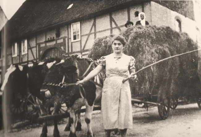 Mathilde Kamzol bei der Heuernte 1930.  (Aus dem Buch "Alt Borgentreich in Bildern" von Bernhard Kösters)